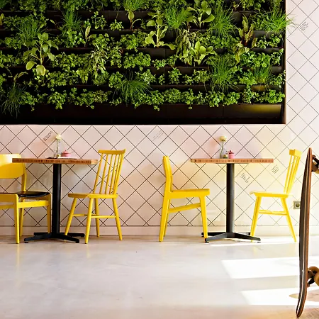 Ξενοδοχείο Conscious Westerpark